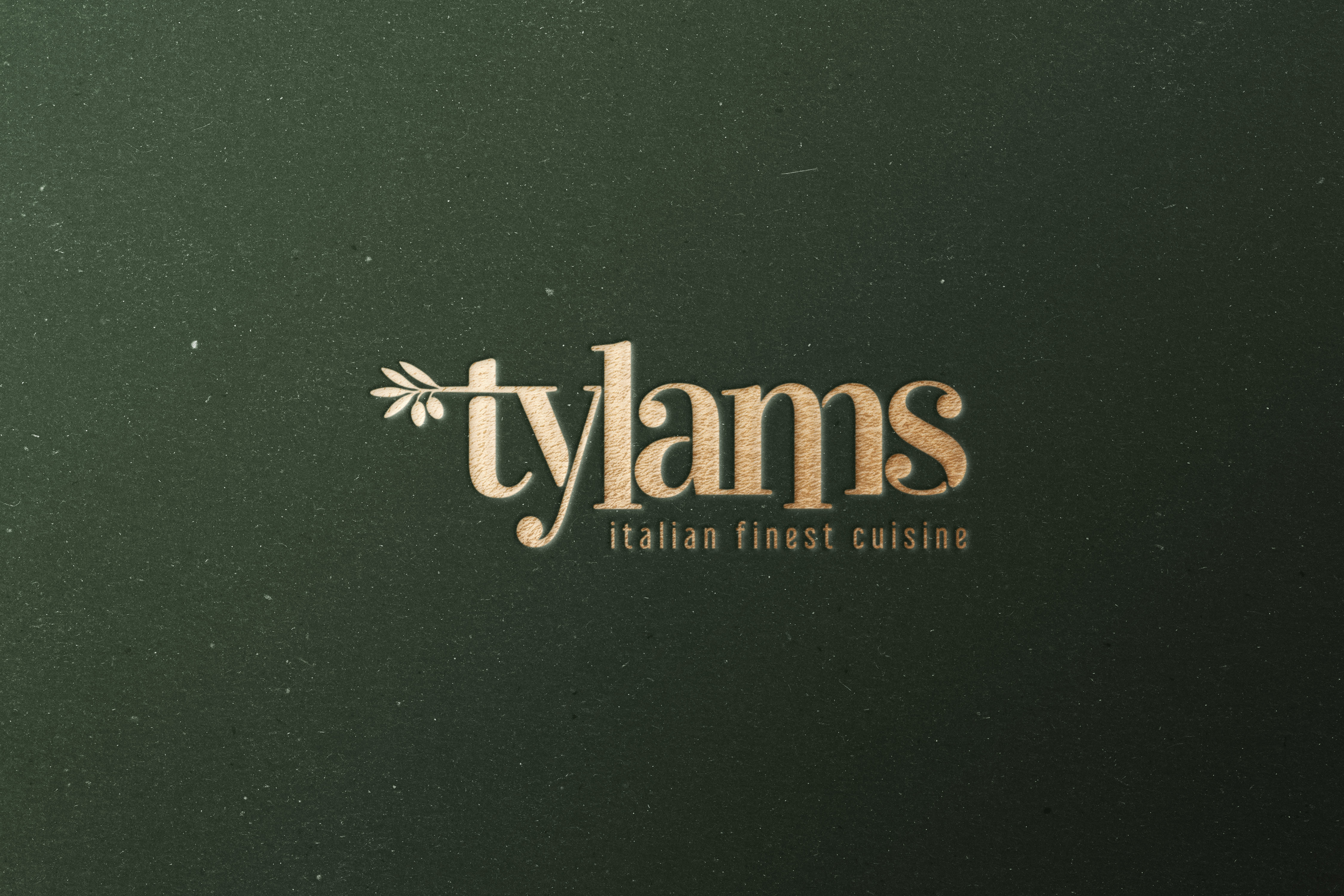 Tylams visual identity